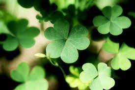 Happy St Patrick's Day