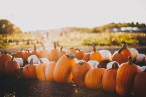 How to Transition Your Home for Fall