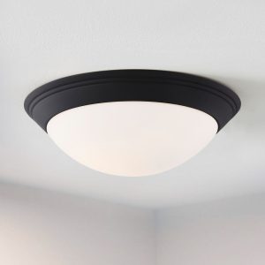 A ceiling light that is flush with the ceiling that is a white half oval with a black rim.